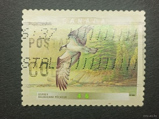 Канада 2000. Птицы. Скопа