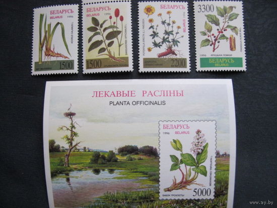 Марки + блок РБ (##164-168). Лекарственные растения