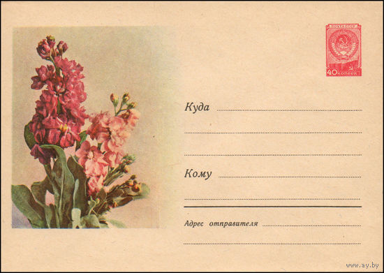 Художественный маркированный конверт СССР N 680 (17.04.1958) Рисунок букета флоксов