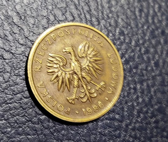 5 злотых Польша 1986