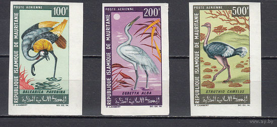 Фауна. Птицы. Мавритания. 1967. 3 марки б/з. Michel N 304-306 (- е)