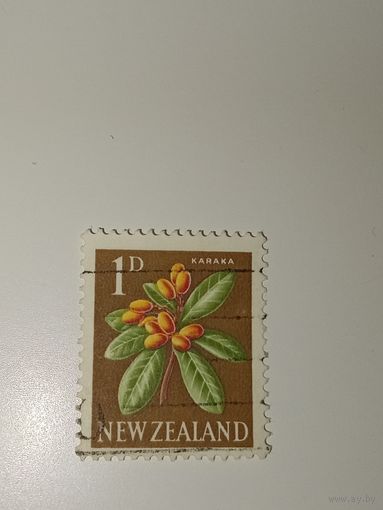 Марка Новая Зеландия 1967 год Цветы