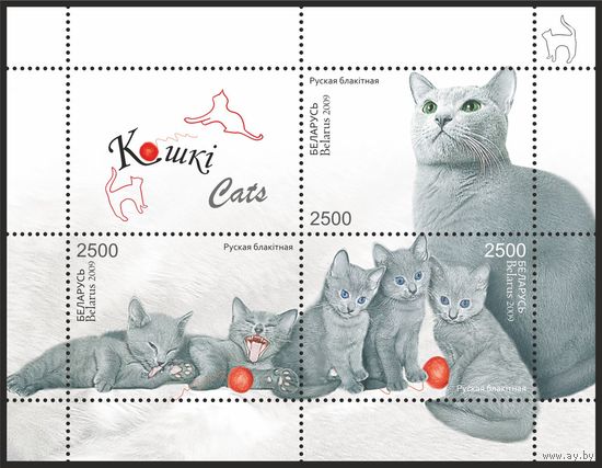 2009 БЕЛАРУСЬ  блок коллекционных марок "Кошки"   MNH