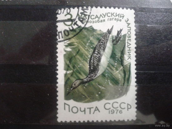 СССР 1976 гагара