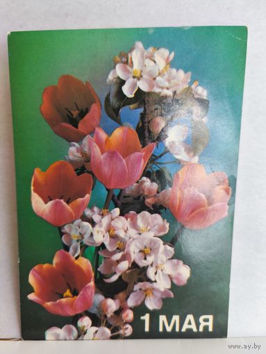 Открытка, 1988г., чистая. 1 мая. Фото П. Костенко. 14