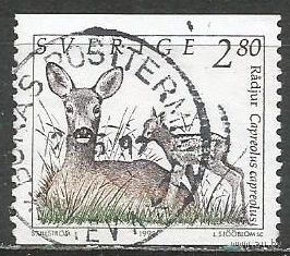 Швеция. Косуля с детёнышем. 1992г. Mi#1701.