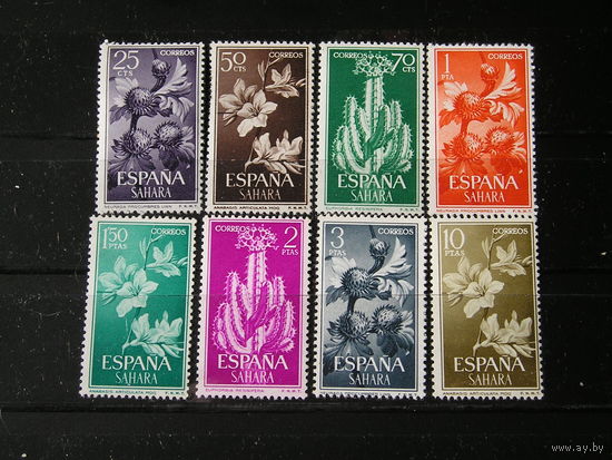 Испанская Сахара 1962, Кактусы, цветы