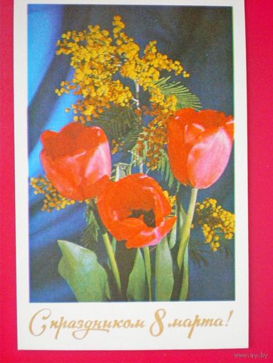 Фото Столярова Б., С 8 марта! 1974, подписана.