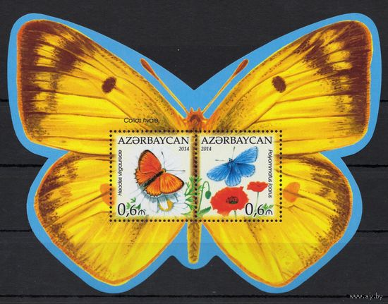 Азербайджан 2014. Бабочки блок  (539)