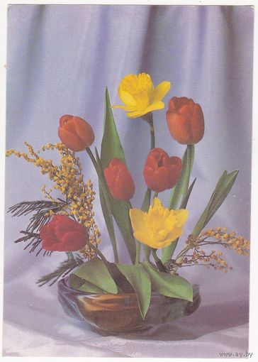 Открытка 1993 (510)