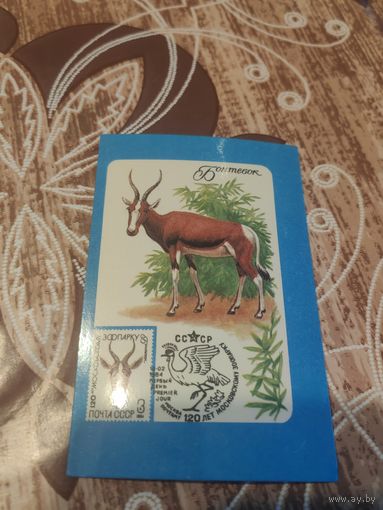 Календарик,ссср,марки