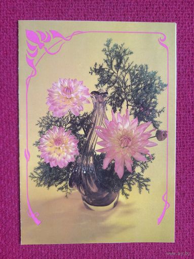 Цветы. Шепелева, Бинна. 1990 г. Двойная. Кр1.