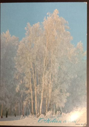 Богданов,1988 Чистая