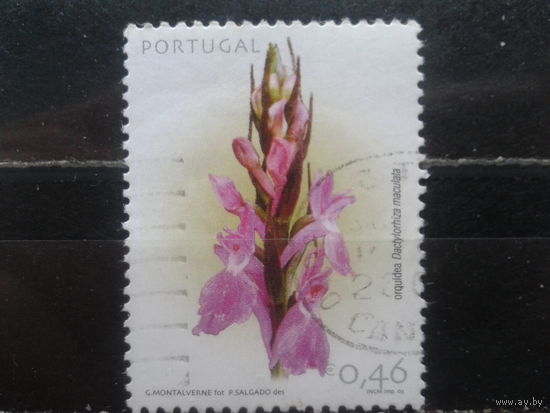 Португалия, 2003. Цветок