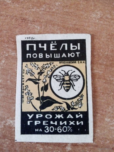 Спичечные этикетки ф.Маяк. Пчеловодство