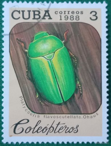 Куба 1988. Изумрудный жук
