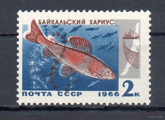 Рыбы Байкала СССР 1966 год 1 марка