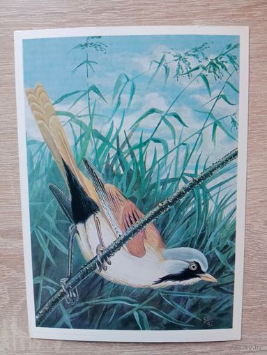 Егоров 1984 не подписана