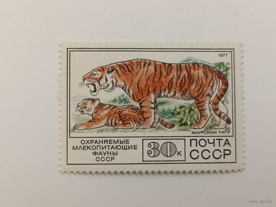1977 СССР. Фауна. Амурский тигр