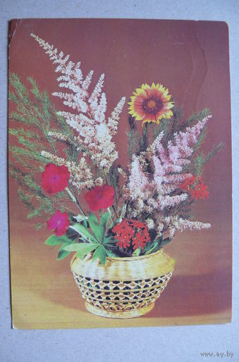 Круцко Л., Цветы, 1982; подписана.