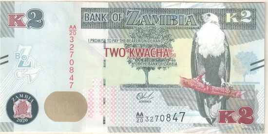 Замбия 2 квача 2020