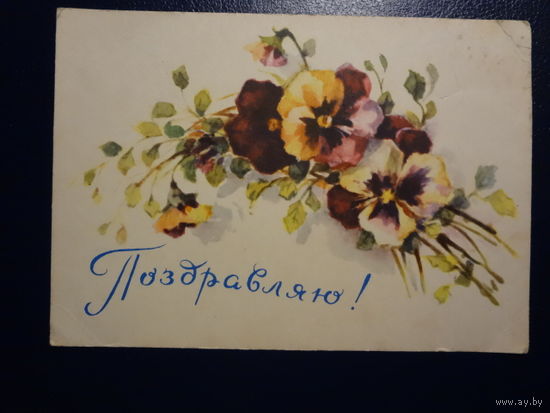 Поздравляю! Анютины глазки. 1957 г. подписанная.