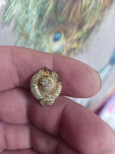 Петличный знак