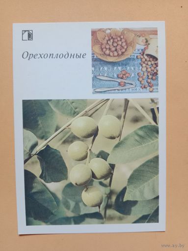 Открытка,1986