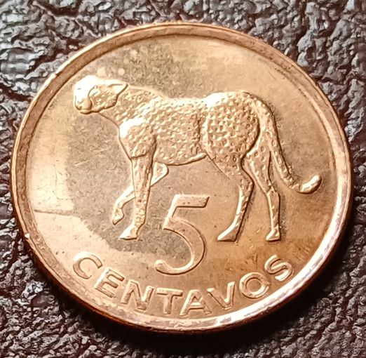 Мозамбик 5 сентаво, 2006    ( 2-4-4 )