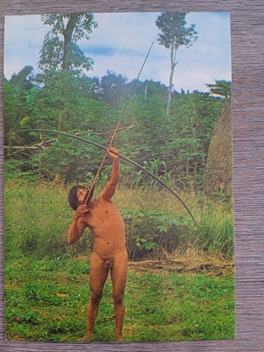 Этнография. Бразилия. Индеец качандо