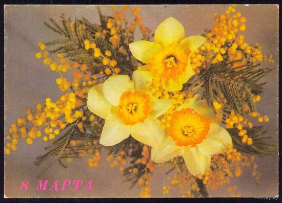 СССР 1989 ДМПК 8 Марта