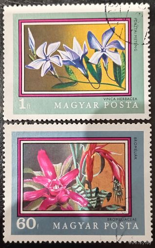 Венгрия. Флора. Цветы