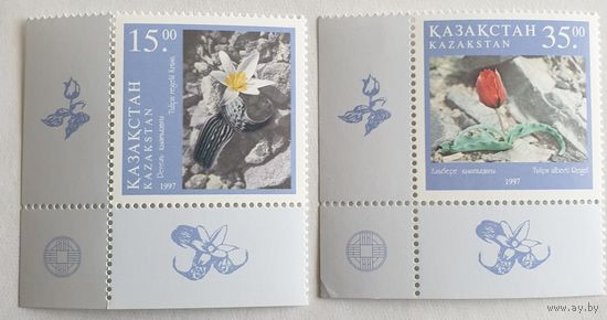 1997 Тюльпаны Казахстан