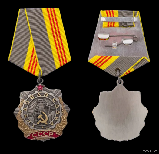 Копия Орден Трудовой Славы 3 степени