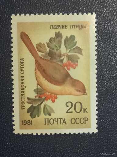 Певчие птицы.Тростниковая сутора. СССР 1981г.
