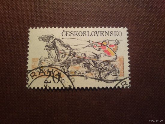 Чехословакия 1978 г.Гонки на упряжи./49а/