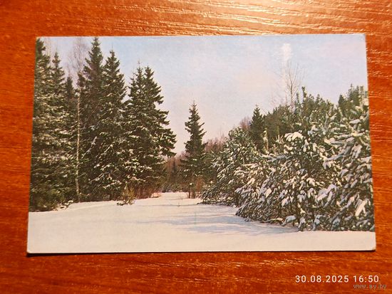 Календарик 1989 Зимний Лес