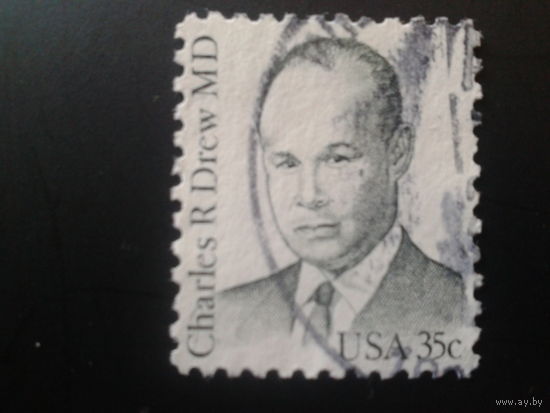 США 1981 стандарт, художник