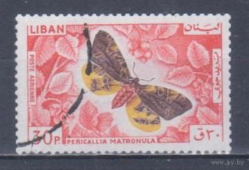 [2124] Ливан 1965. Фауна.Бабочка.30п. Гашеная марка.