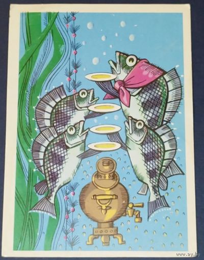 Котанов. Ерши. 1976