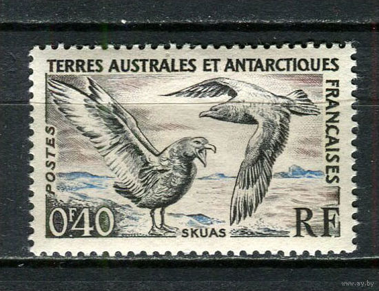 Французские Южные и Антарктические территории (TAAF) - 1959 - Птицы 40С - [Mi.15] - 1 марка. MNH.  (Лот 8JR)-T3P19