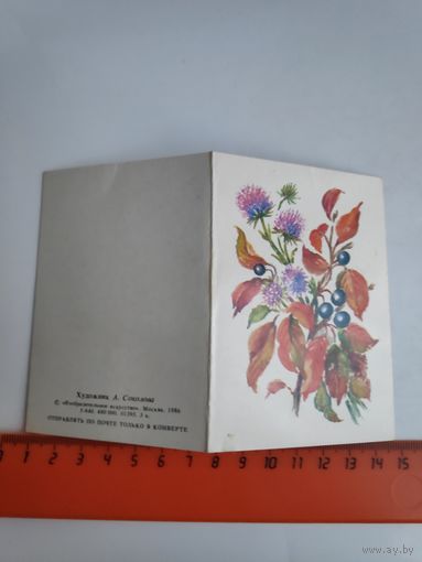 Открытка Художник А. Соколова. 1986 г.