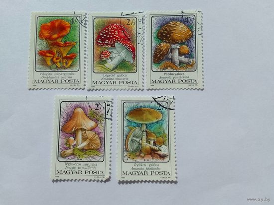 Марки  Грибы  Венгрия 1986  5  шт. - 4,00 руб.