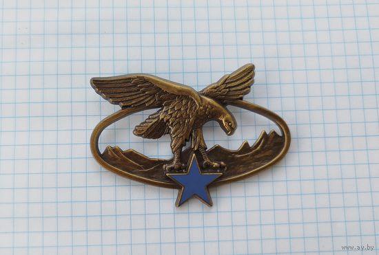 Франция. Квалификационный знак специальной горной подготовки (G2465)