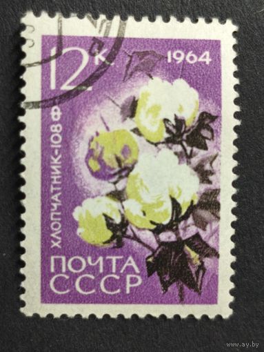 1964 СССР. Сельскохозяйственные растения