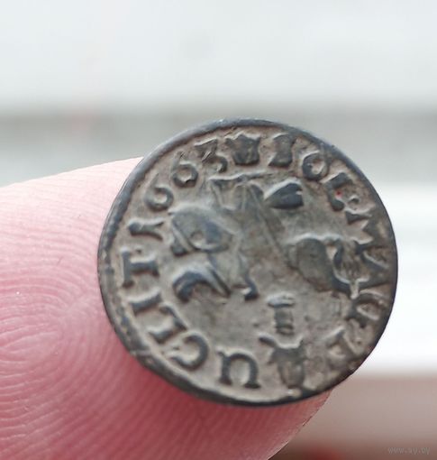 БОРАТИНКА 1663 год олива