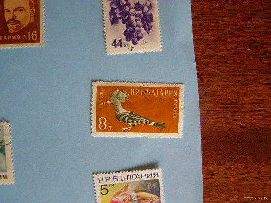 Болгария 1959г. Дикие птицы. фауна