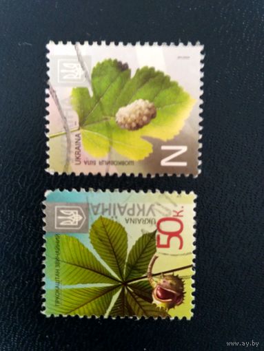 Марки Украины. Деревья (каштан, шелковица белая). Стандарты.