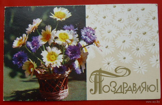 Поздравляю! Чистая. Двойная. 1981 года. Воронин. 540.
