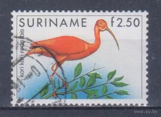 [1759] Суринам 1985. Фауна.Птицы.Красный ибис. Гашеная марка.